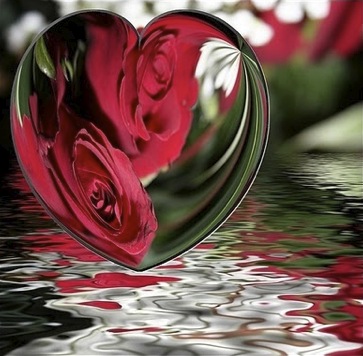 http://sq.imagens.s3.amazonaws.com/1112-Dezembro/Aline-111227.jpg